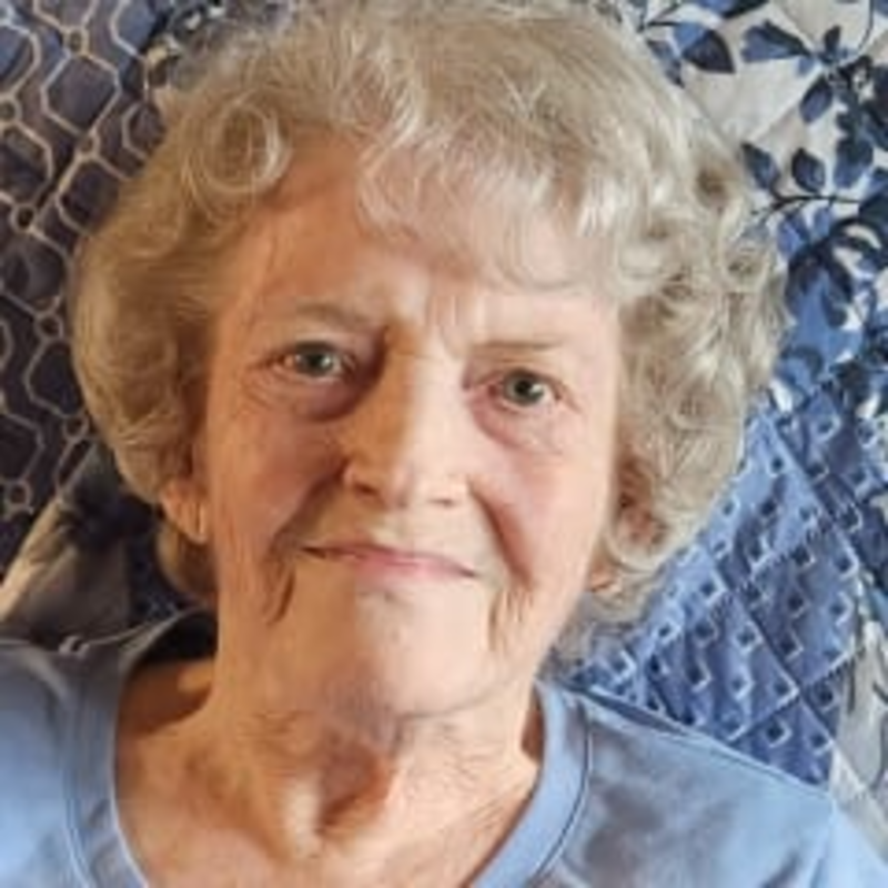 Patricia Kay Peterson Hakala obituary and life story The Memories